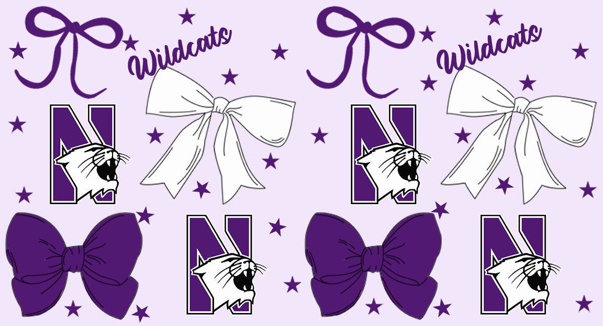 Custom baby girl Northwestern Wildcats team dress D 6.28