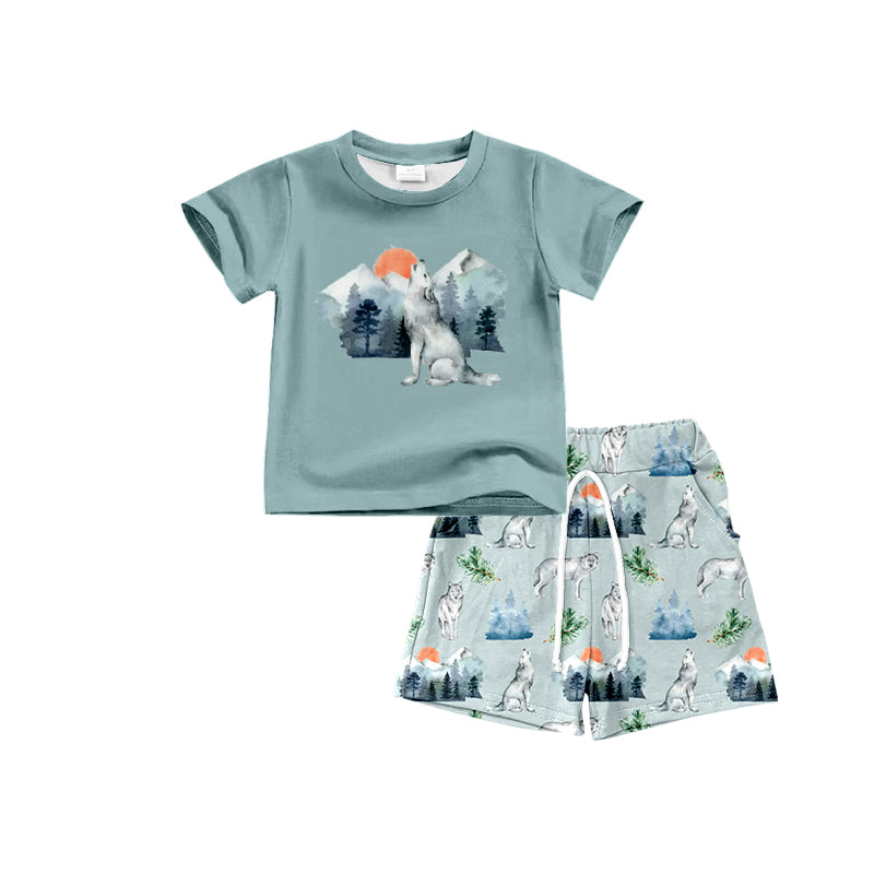 Custom baby boys short sleeve set 4323