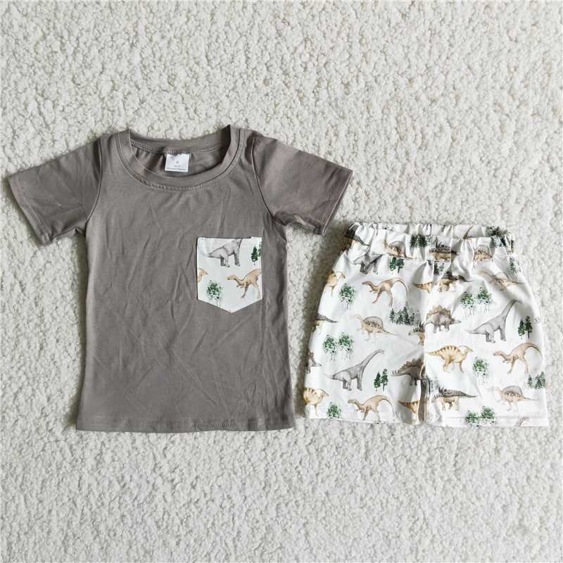 D11-12 Grey Dinosaur Pocket Boy Set