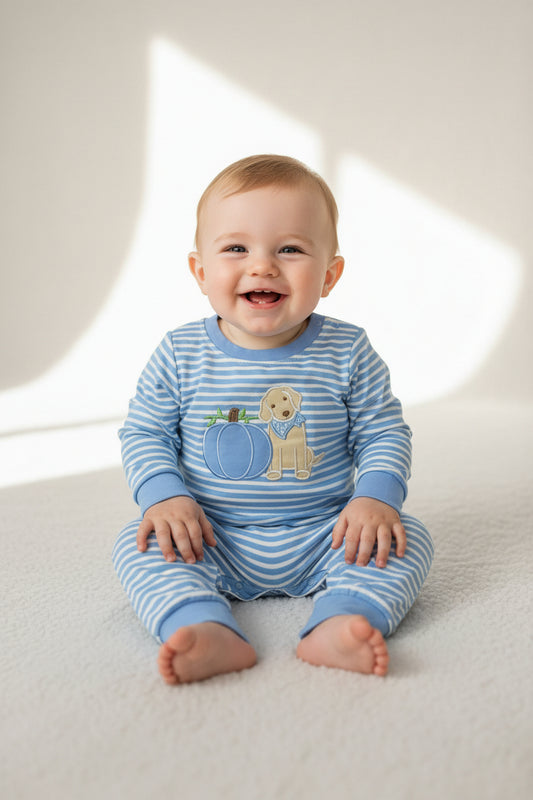 blue striped embroidery puppy pumpkin boy romper baby clothing
