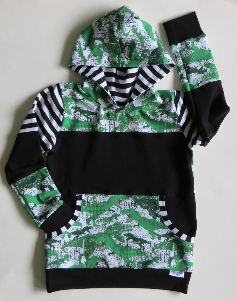 custom order MOQ 5 boys dinosaur hoodie