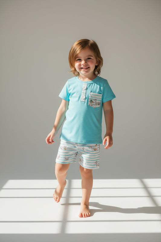 blue stripes duck shorts set boys kids clothing