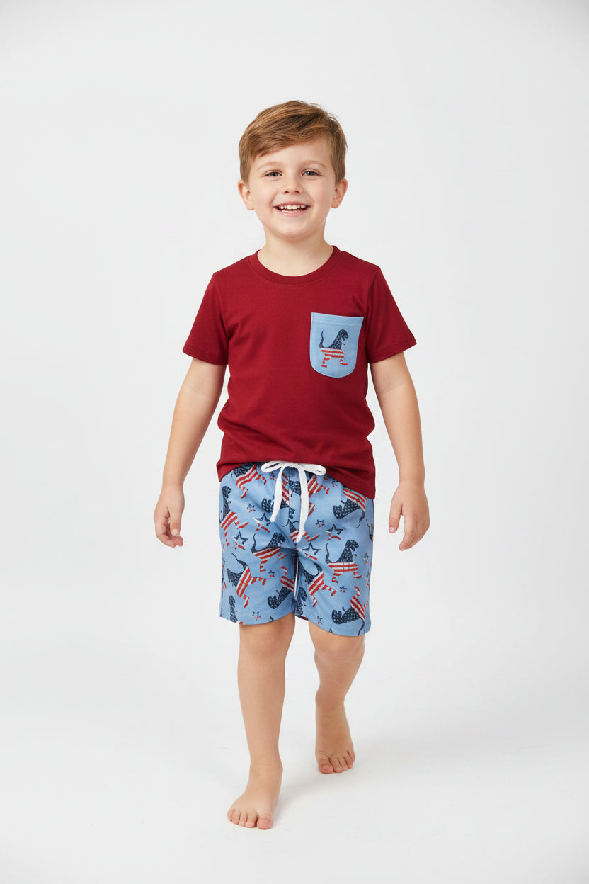 USA flag dinosaur shorts outfit patriotic boys clothing