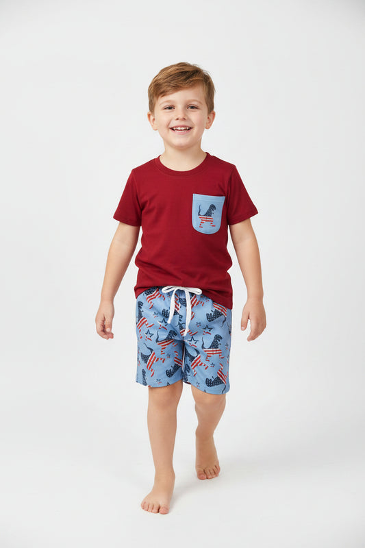 USA flag dinosaur shorts outfit patriotic boys clothing