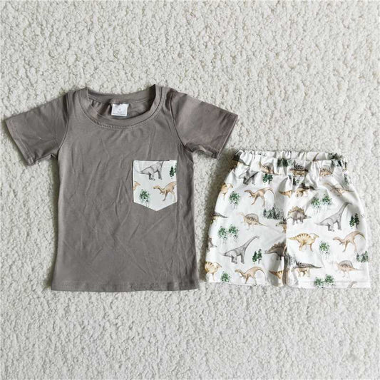 D11-12 Grey Dinosaur Pocket Boy Set