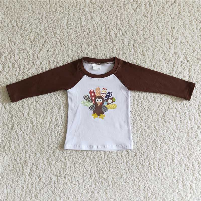 6 A20-28 Boys Brown Turkey Long Sleeve Top